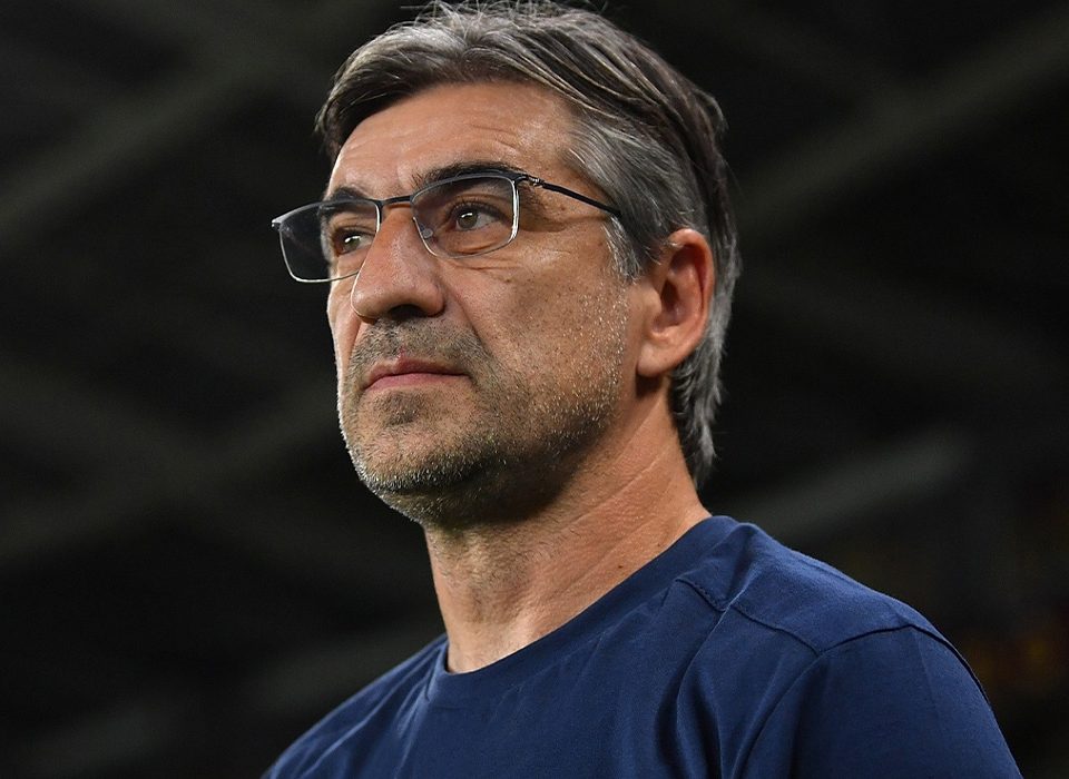 Ivan Juric, Torino